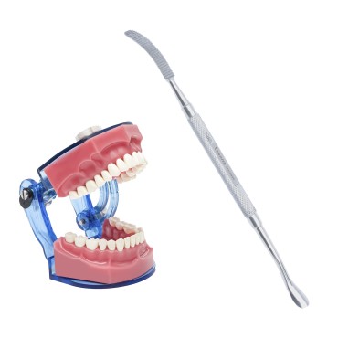 Bone File Bone File