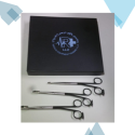 Trepsat Facial Flap Dissector Scissors – Premium Facelift Instrument